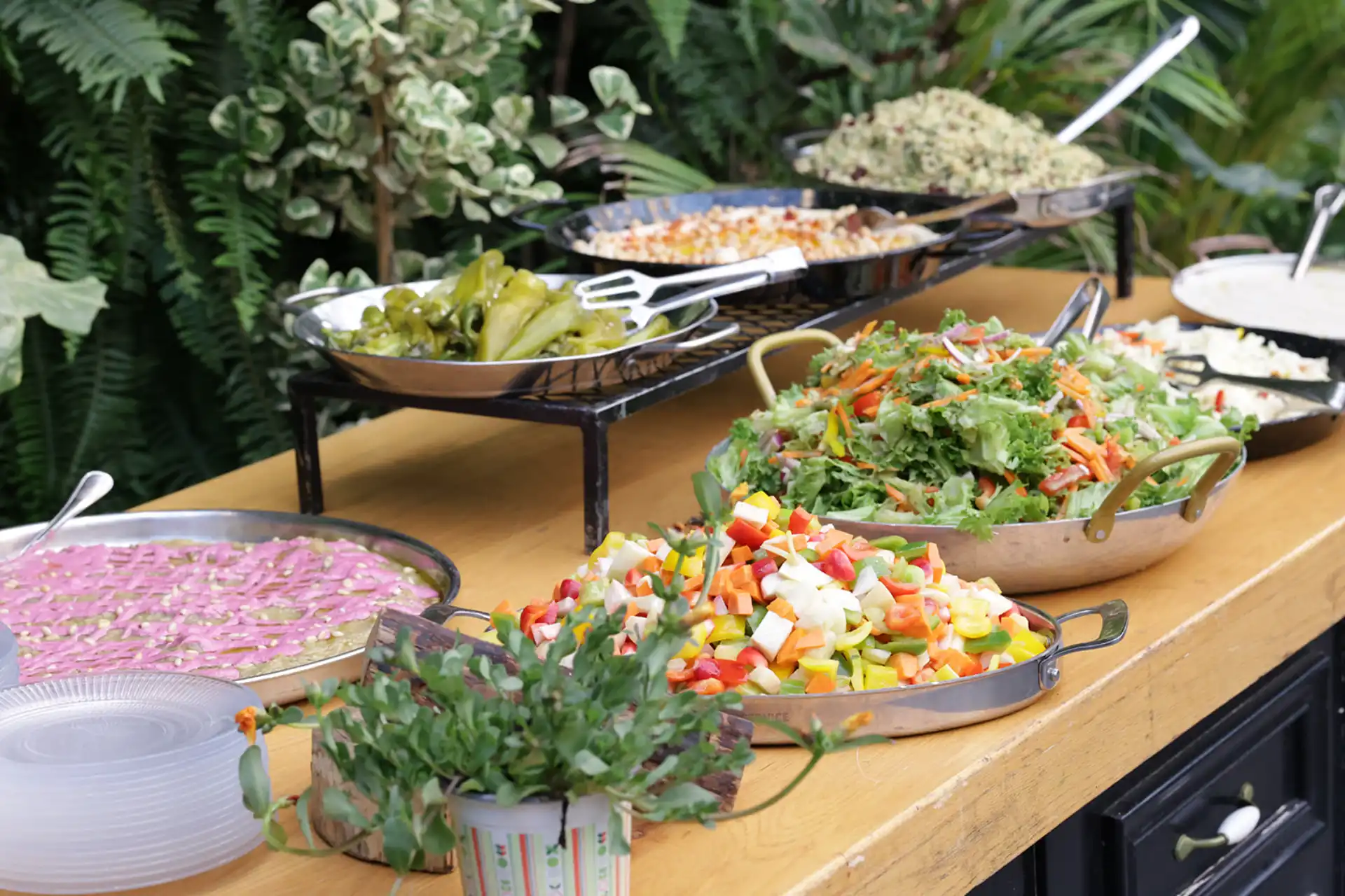 1987386096253c08214327ad03c215ea7e92bbfa