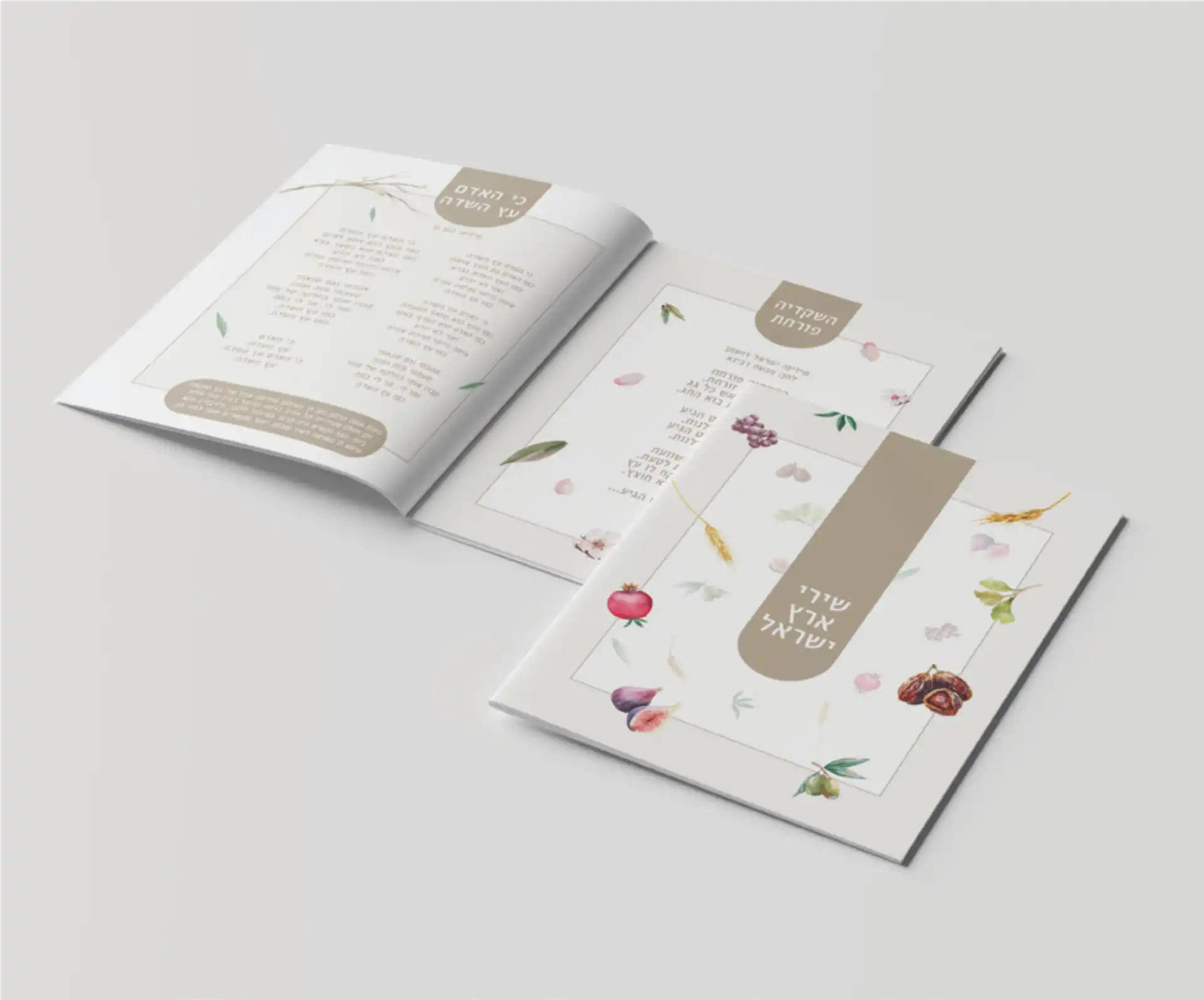 שירי ארץ ישראל