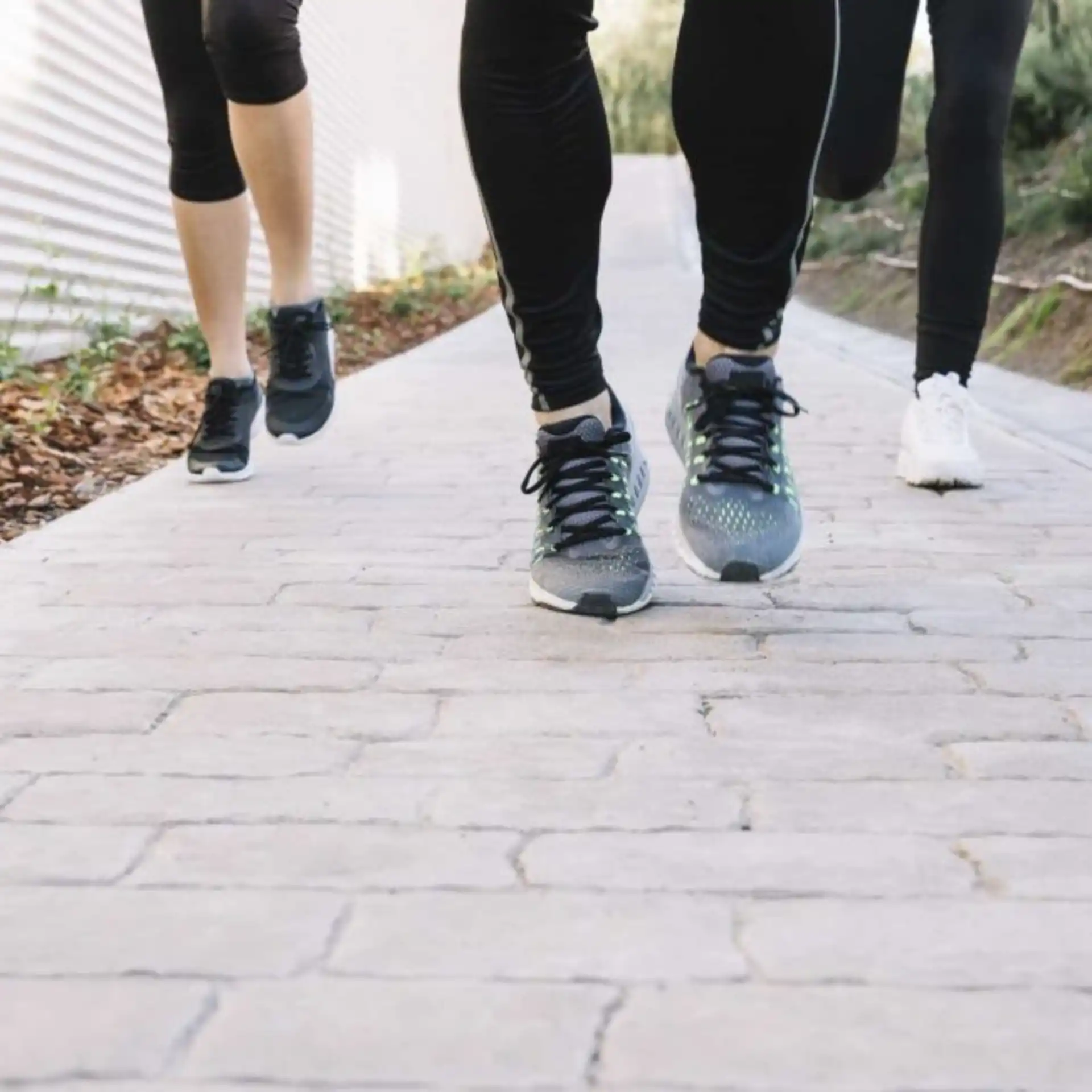 פעילות מרוץ למיליון חטיבת טים טיים- מרכז שלבים