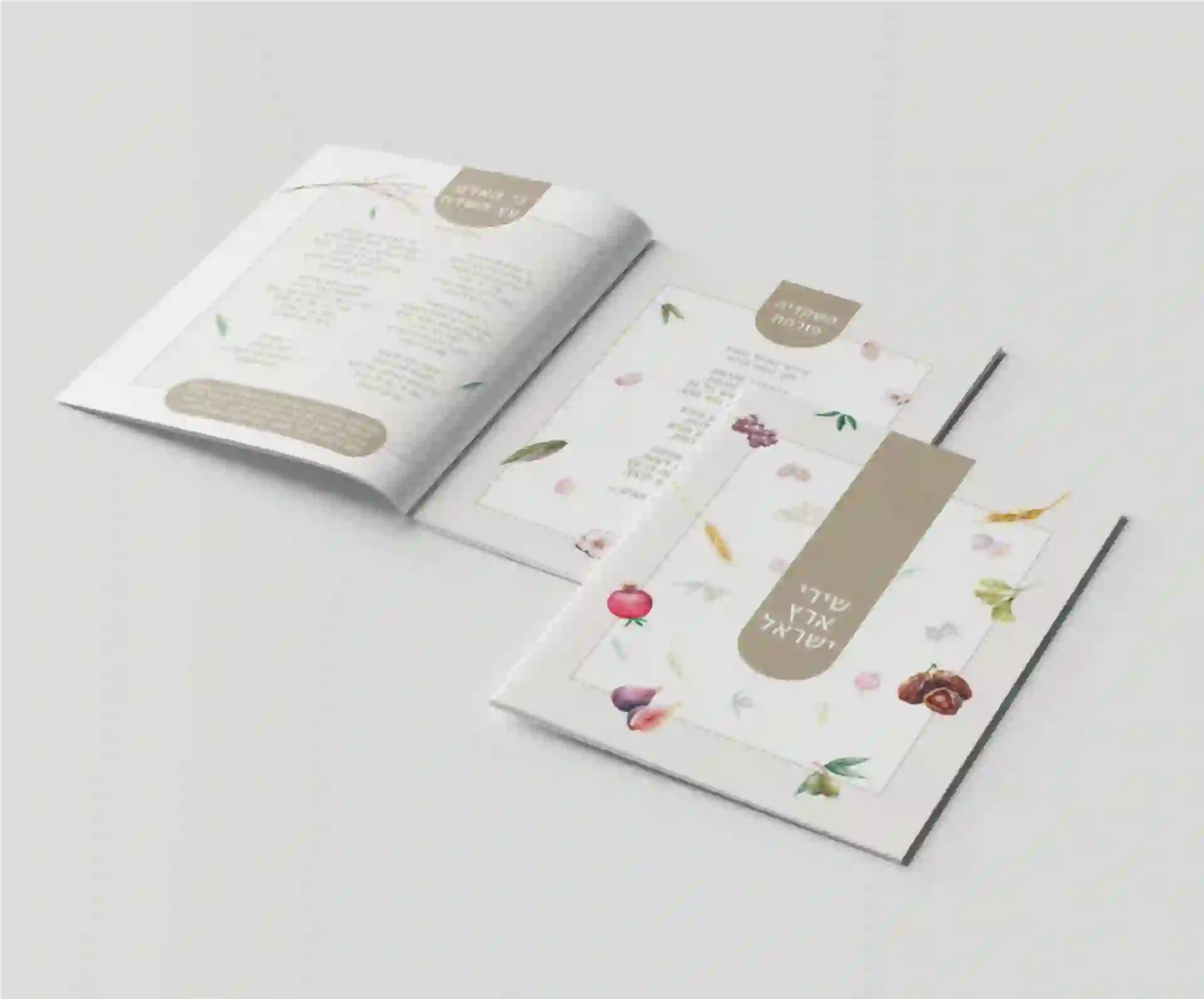 שירי ארץ ישראל